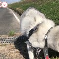 【話題】お天気も気…