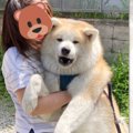 これはもうイッヌじ…