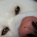 涼しい朝！ウトウト…