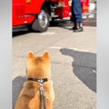 『消防署』が大好き…