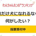 【投票受付中】もし…
