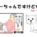 ちーちゃんですけど…