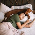 犬が飼い主と一緒に…