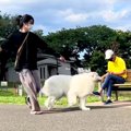 超大型犬に内緒で『…