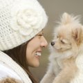 正面からまっすぐはNG！初対面の犬との正しい挨拶方法