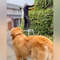 『草刈りしてくるね…