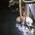 水がたまった排水設…