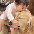 赤ちゃんが眠そうな…