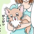 かわうそちわわ。（2…
