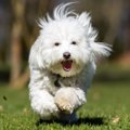 抜けてるところが可…