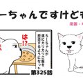 ちーちゃんですけど…