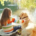 犬と子どもが一緒に…