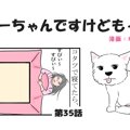ちーちゃんですけど…