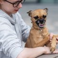 犬が飼い主を『守ろ…