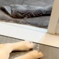 お風呂に入ったら『…