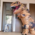 犬たちに『巨大な恐…