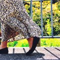 犬の散歩で『絶対着…