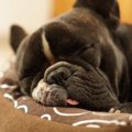 絶対に放置してはい…