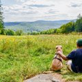 犬と一緒に出かけた…