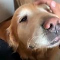 ずっと一緒にいたい…