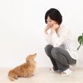 愛犬が「お座り・伏…