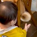 0歳の赤ちゃんが『イ…
