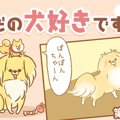 ただの犬好きです。…