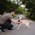 犬が『後ずさりしな…