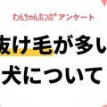 【アンケート実施中…