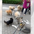 ちっちゃいお友達も…