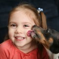犬に人の顔を舐めさ…