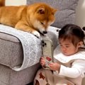 1歳の女の子が『犬を…
