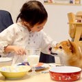 4歳の女の子が『犬と…