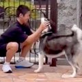 離れて暮らす息子が…