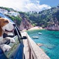 犬と楽しむ平成最後…