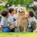 ３人の男の子が『大…