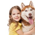大型犬を抱っこする…