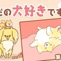 ただの犬好きです。…