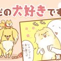 ただの犬好きです。…