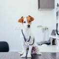 動物病院って儲かっ…
