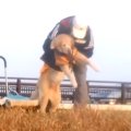 通勤途中のある風景…