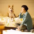 「犬に名前をつける…