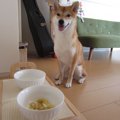 一手間かけたフード…