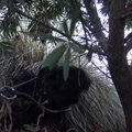 極度に怯えて震える…