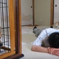 飼い主さんが突然泣…