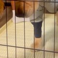 朝、雨だったため『…