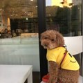 こんな所に！愛犬と…