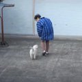 犬好きのばあちゃん…