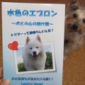 現役トリマーさんが…