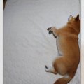 めちゃくちゃ遠慮し…